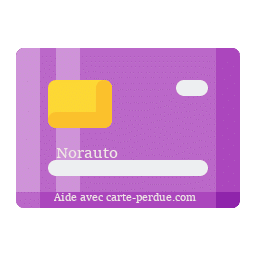 Norauto Carte Perdue